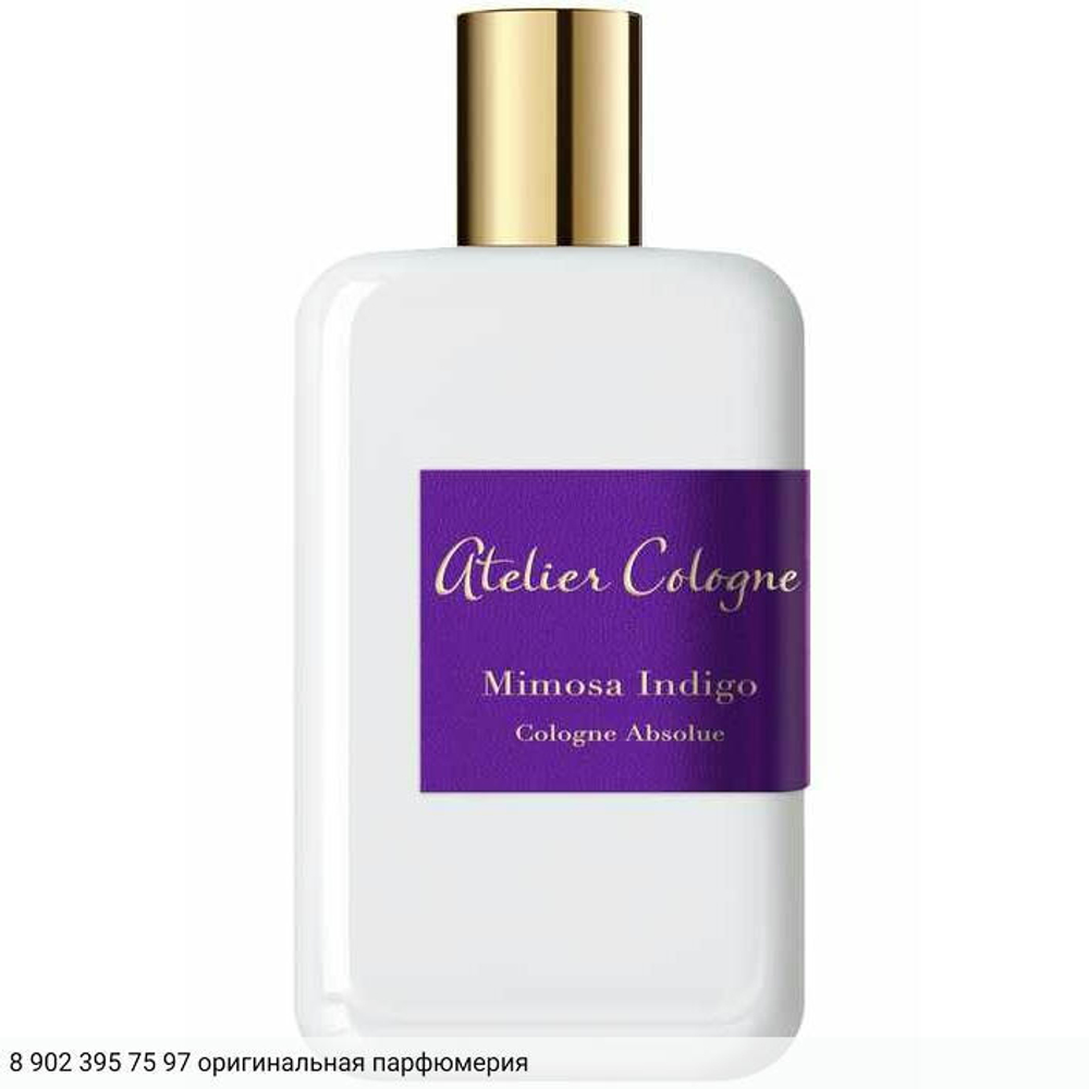 Mimosa Indigo