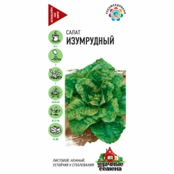 Салат семена зеленый