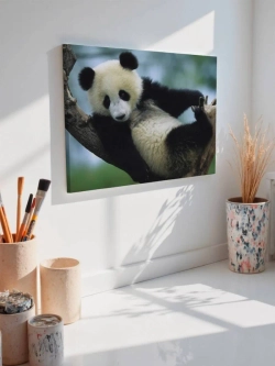 Картина на стену 40 X 50 Панда