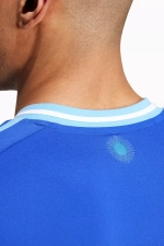 Футболка adidas Аргентина 2024 Away