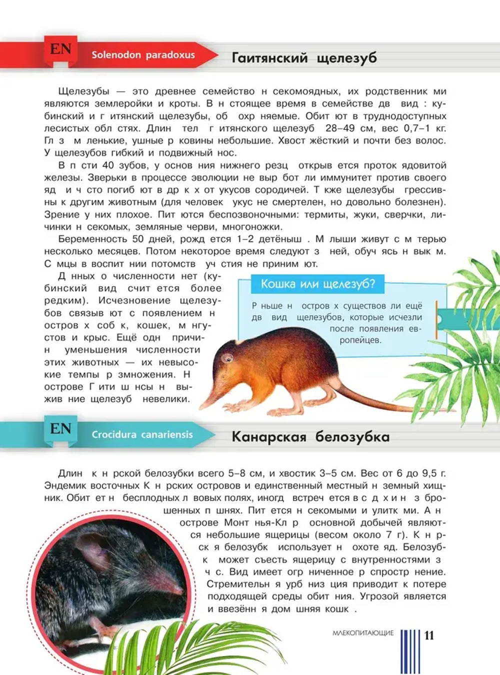 Красная книга мира