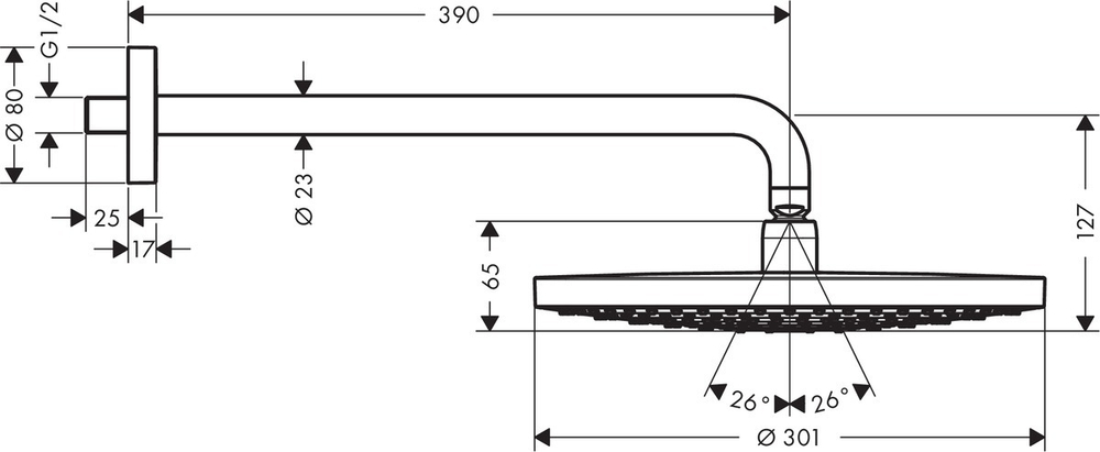 Верхний душ Hansgrohe Raindance Select S 300 2jet 27378400, белый/хром