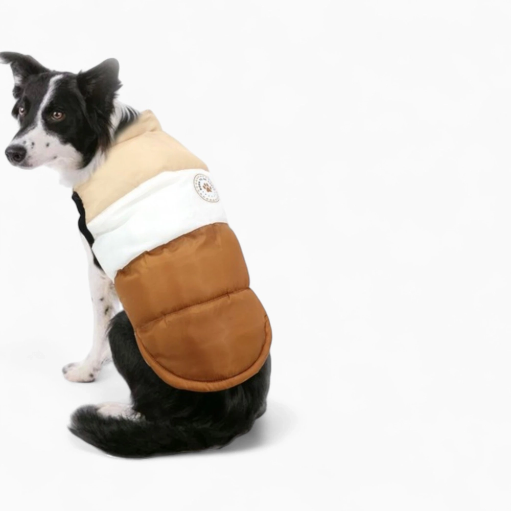 Жилет «Colour»