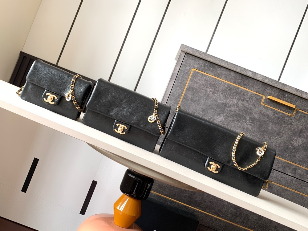 Chanel Bag (3 sizes)