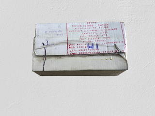 Вкладыши шатунные 245-1004140 (Д-245 )