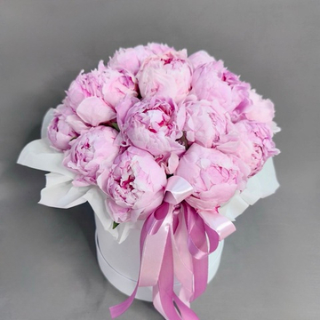 Шляпная коробка с 19 пионами сорта "Сара Бернар"