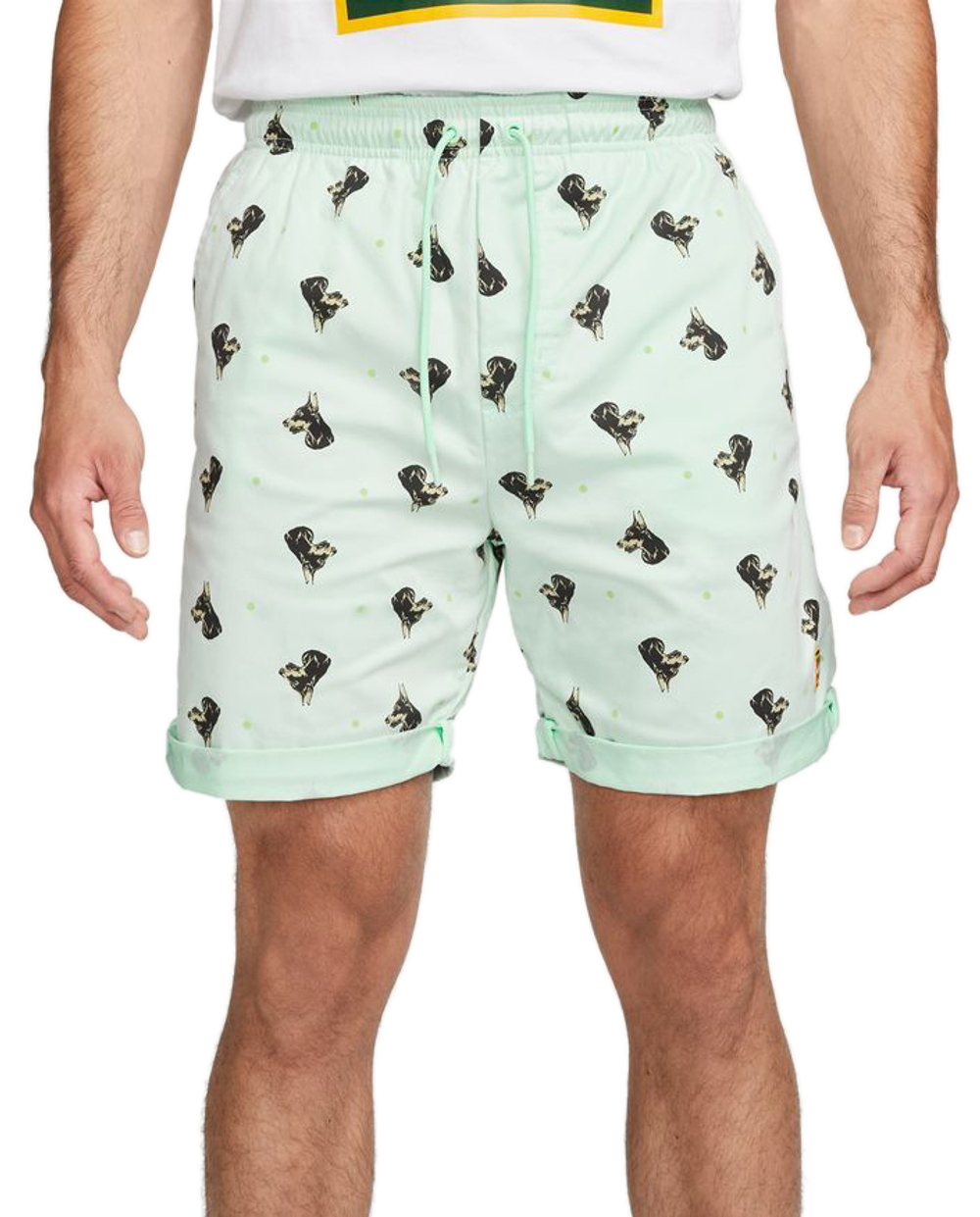 Мужские теннисные шорты Nike Dri-Fit Print Heritage Short - mint foam