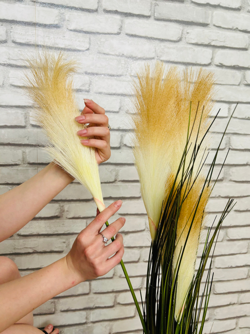 Растение искусственное Луковая трава с пампасным пером 161-008E5AT 113см