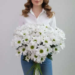 Ромашки из кустовой хризантемы ромашковой.