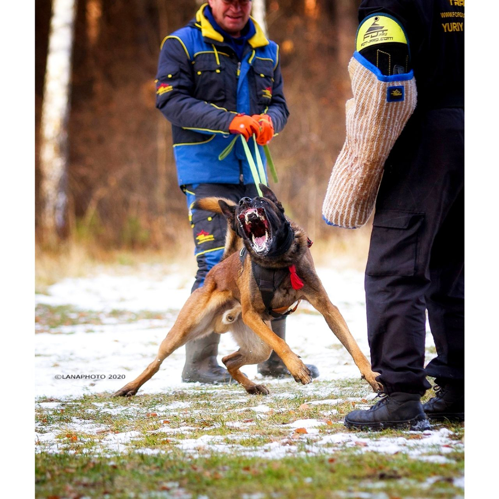 Костюм для дрессировщика Fordogtrainers «PROTECTIVE SUIT» из мембранной ткани.