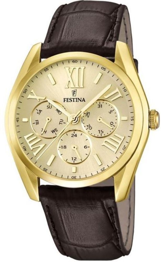 Мужские наручные часы Festina F16753/2