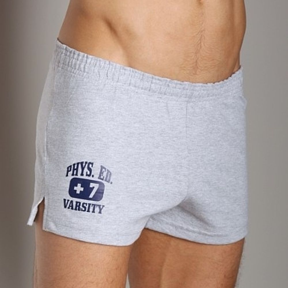 Мужские шорты  спортивные серые Andrew Christian PhysEd Varsity Shorts  4568