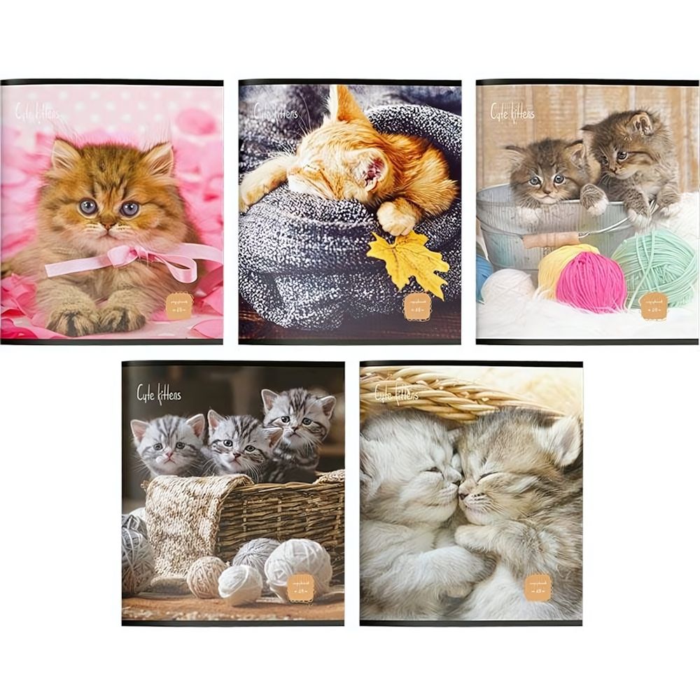 Тетрадь А5 48 л. "Котики" (Creativiki) Тетрадь А5 48 л. "Котики" (Creativiki)