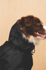 Комбинезон "Пони-комбинезони" черный