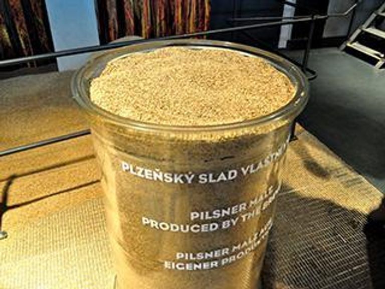 Настоящее чешское пиво