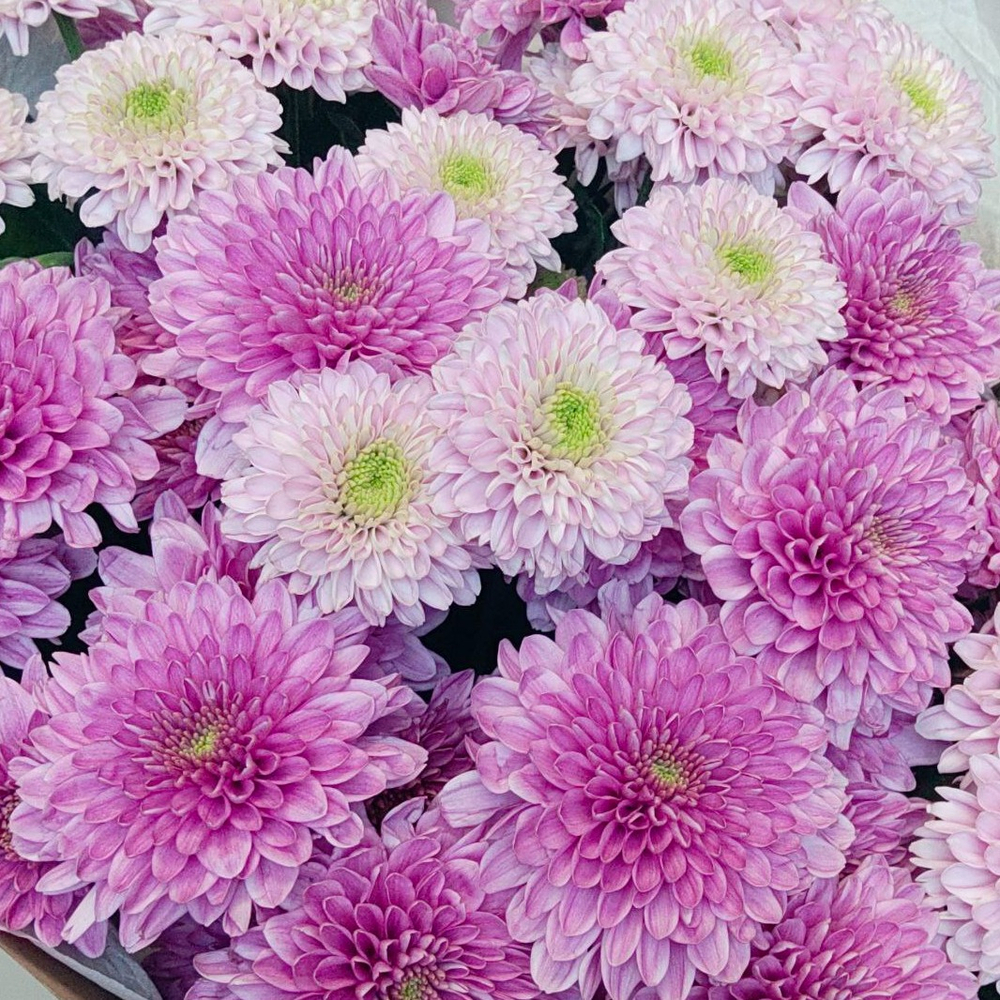 Соберу букет №410