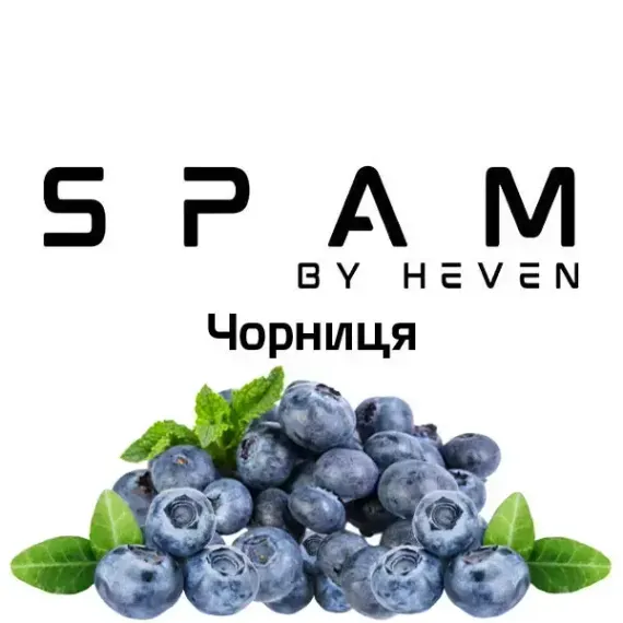 Spam - Черника (100г)