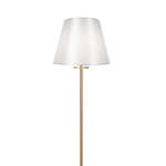 Напольный светильник (торшер) Freya FR1006FL-01G