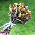 Букет сухоцветов Луговой - 25х20 см