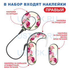 SONNET2 "Пионы"