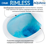 AQM2009 Унитаз подвесной с сиденьем SoftClose, технология смыва Rimless, скрытый крепеж. 525х360х370