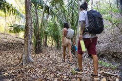 Термокружка Klean Kanteen TKWide Twist Cap 20oz (592 мл) Shadow Lime