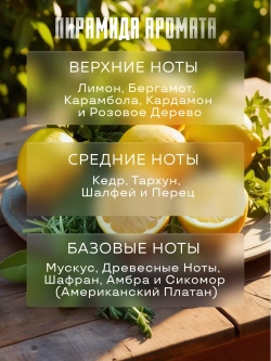 Отдушка Prof-Royal VERONE FRAICHE, для свечей/мыла/диффузоров, прозрачная, жидкая, 10 мл