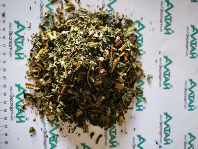 Пион уклоняющийся трава Алтай