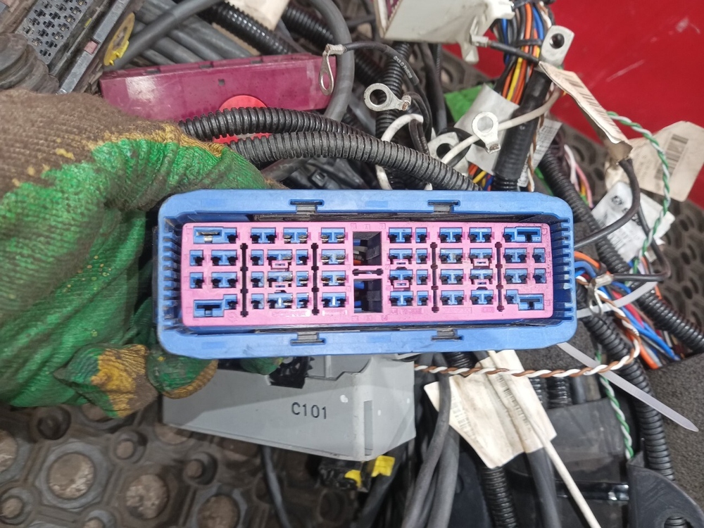 Проводка шасси основная 2019г