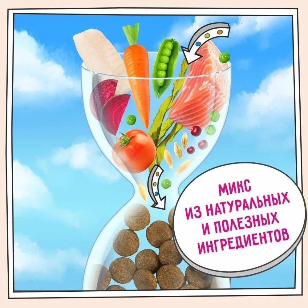 Сухой корм для собак ZILLII Dog Adult 3кг белая рыба и лосось