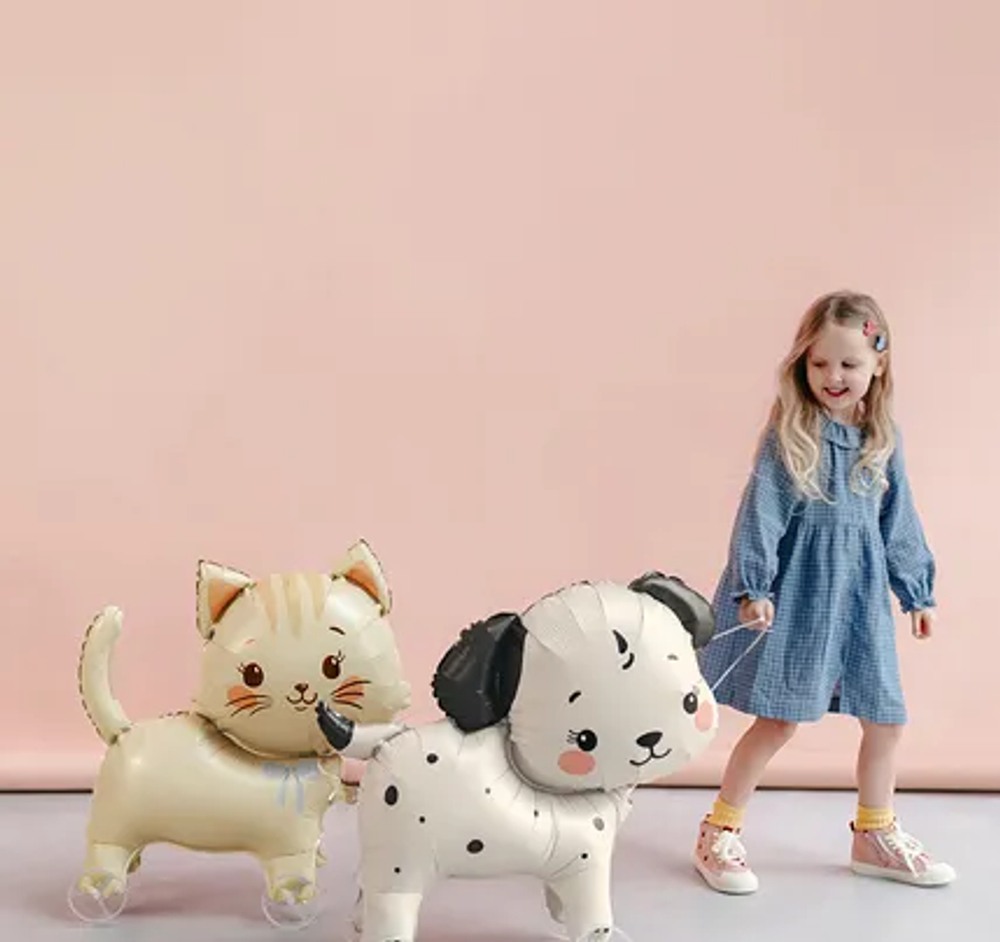 Шар "Кошечка на колесах" (61х65см)