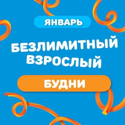 Взрослый билет на тариф "Безлимитный" (будние дни) в январе