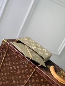 Louis Vuitton Felicie Pochette