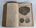 "Museum museorum, oder Vollstandige Schau-Buhne aller Materialien und Specereyen [...] aus andern Material-Kunst und Naturalien Kammern Oost und West-Indischen Reisbeschreibungen". D. Michael Bernhard Valentini. 1714 г.