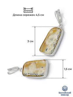 Уникальные серебряные серьги с цельным пейзажным янтарем, серебро 925 пробы