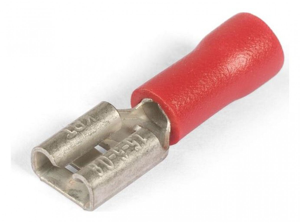 49616