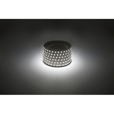 Светодиодная лента ЭРА LS28359,6-120-12-4000K-IP20 1 year-5m дневной белый 1 год