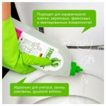 Средство для удаления ржавчины и известкового налета 1 л SYNERGETIC, биоразлагаемое, гель, 104100