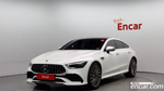 Mercedes-Benz AMG GT 4 даери 43 4MATIC+ (04.2021)