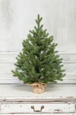 Искусственная настольная елка "Графская" (Литая хвоя) высота 60 см / 90 см