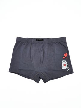 Шорты мужские ATLANTIC MH-1653