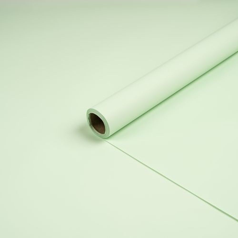 Пленка ФЛОРАНС 58*10м БЛЕДНО-ЗЕЛЕНЫЙ
