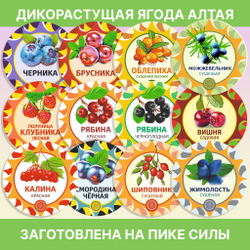 Солянка трава сушеная.