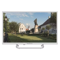 Телевизор Topdevice 24'' TDTV24BS02H_WE