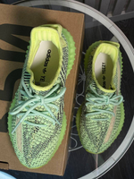 Кроссовки Adidas