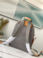 Louis Vuitton Backpack Titanium