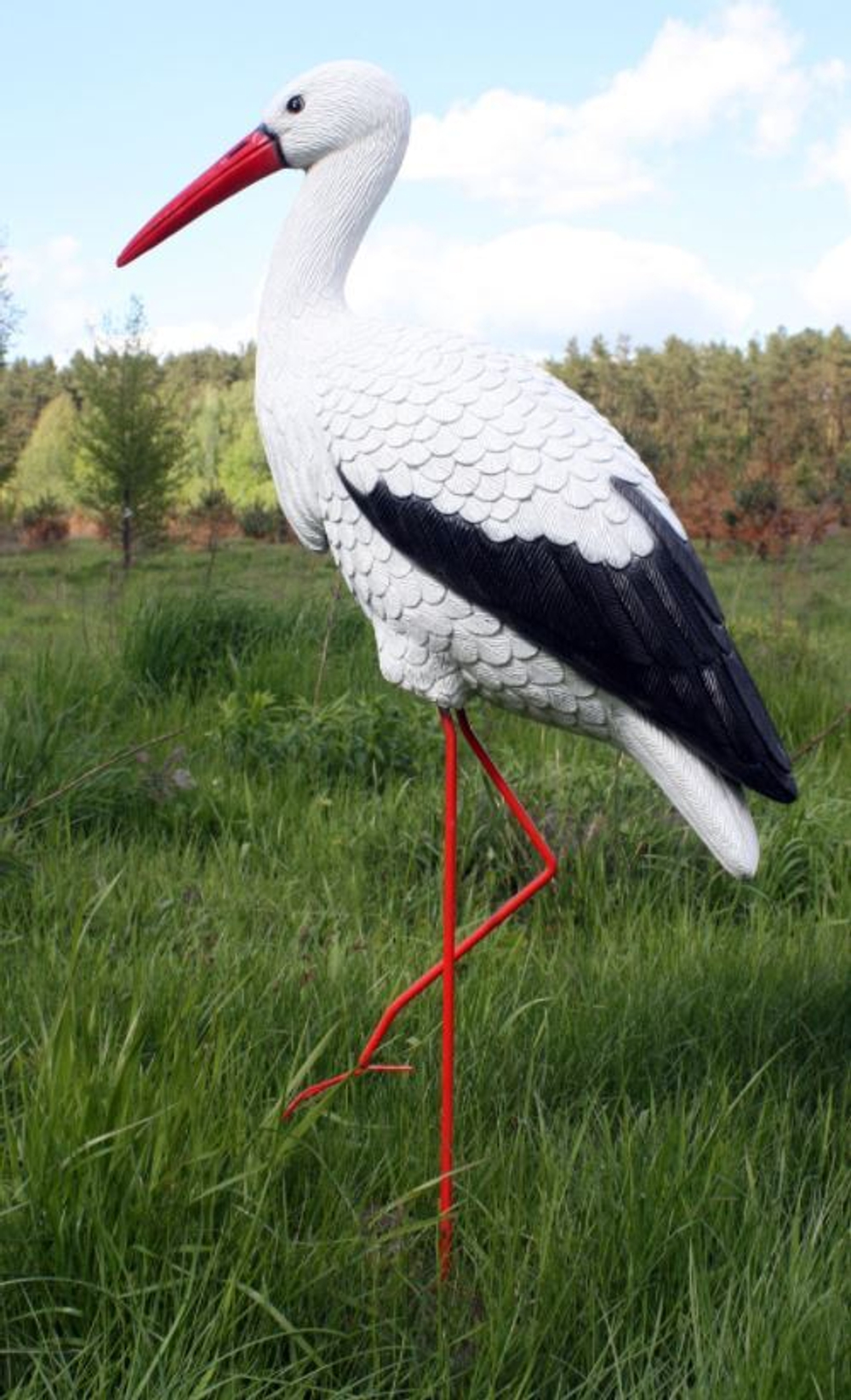 Аист большой