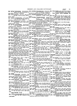 A concise dictionary of the words in the Hebrew bible | James Strong