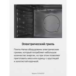 Газовая плита Hansa FCGX62020