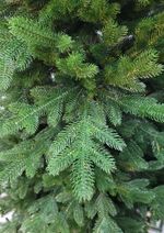 Ель искусственная «Доминика» (Литая хвоя) 120 см / 1,2 м